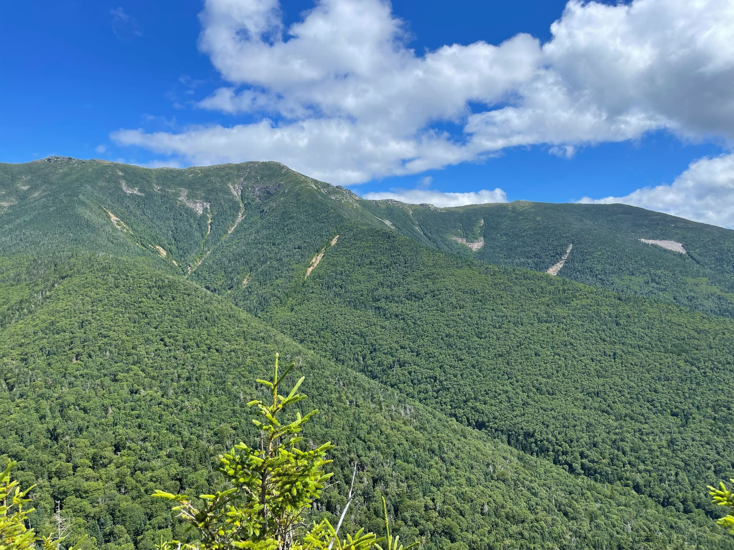 Forested mountain ridge under a blue sky